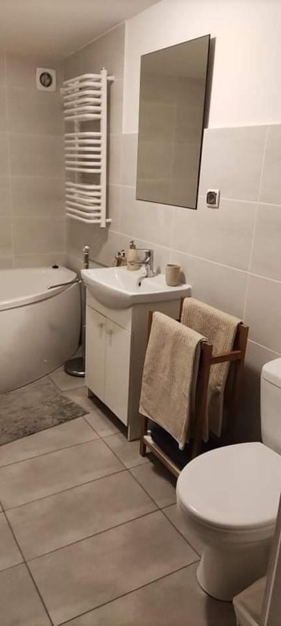 Apartament W Malowniczej Sosnowce Sosnówka Exteriér fotografie